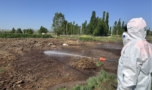 Çorum'da vektörel mücadele ve temizlik çalışması yapıldı