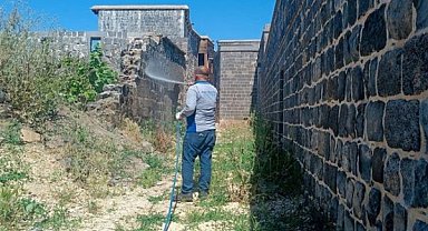 Diyarbakır’da akrep mücadelesi başlatıldı