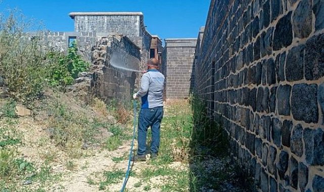 Diyarbakır’da akrep mücadelesi başlatıldı