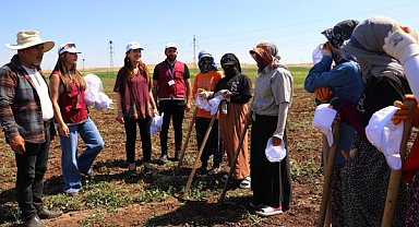 Diyarbakır’da mevsimlik tarım işçilerine ziyaret gerçekleştirildi