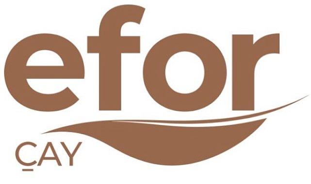 Efor Yatırım'dan yeni şube açılışı