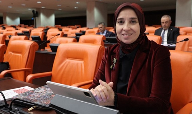 Esen: Staj ve çıraklık sisteminde hak kaybı var, iyileştirme şart