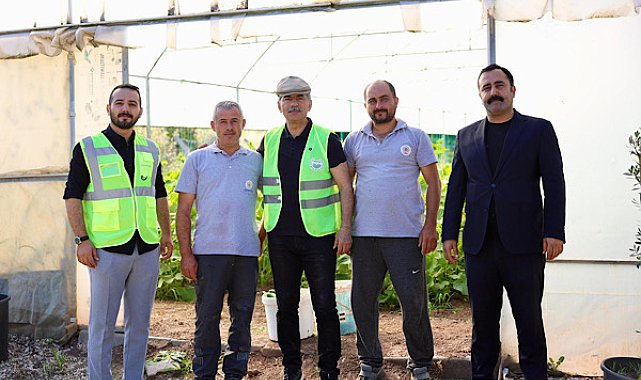 Gemlik Belediyesi'nin seralarında ilk hasat yapıldı