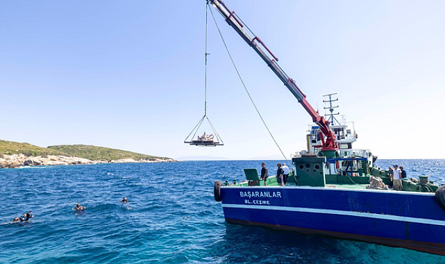 İzmir’de midye kabuklarından üretilen yapay resifler denizle buluştu