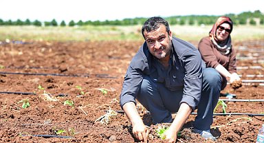 Kayapınar’da 20 dönümlük tarım komününde ekim başladı