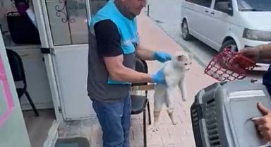 Kayseri'de havalandırma boşluğunda mahsur kalan kediye kurtarma operasyonu