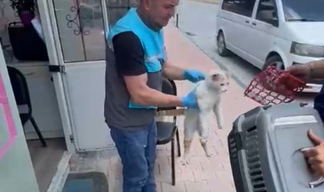 Kayseri'de havalandırma boşluğunda mahsur kalan kediye kurtarma operasyonu