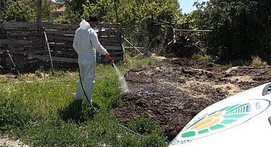 Malatya’da haşerelerle mücadele çalışmaları sürüyor