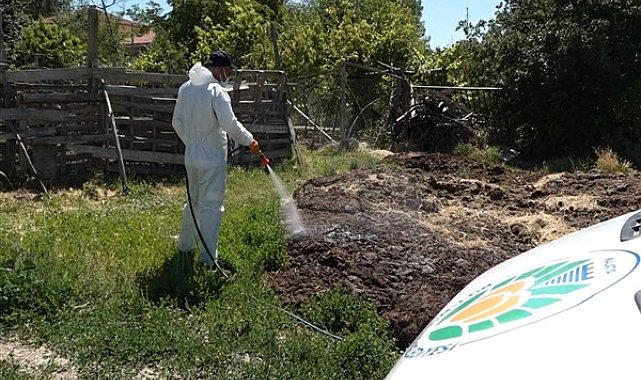 Malatya’da haşerelerle mücadele çalışmaları sürüyor