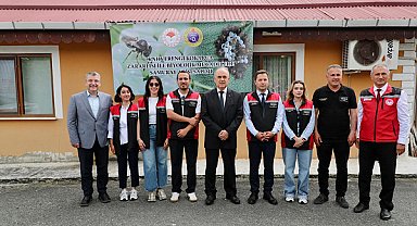 Ordu’da 300 bin samuray arısı doğaya bırakıldı