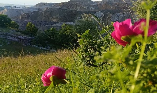 Şahin: Doğal zenginliklerimizi korumak zorundayız