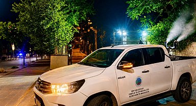 Siirt Belediyesi'nden sinek ve haşereyle mücadele çalışması