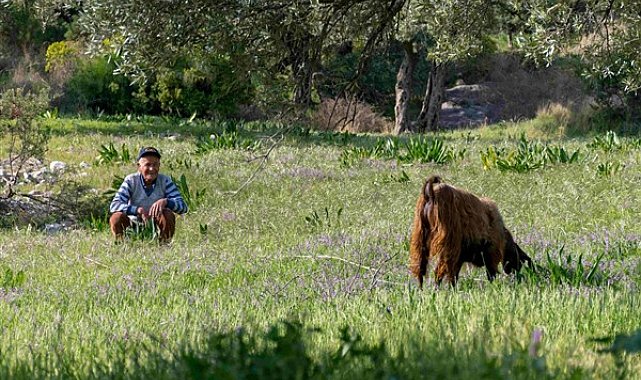 TEMA Vakfı’ndan mera alanları ve çölleşme uyarısı