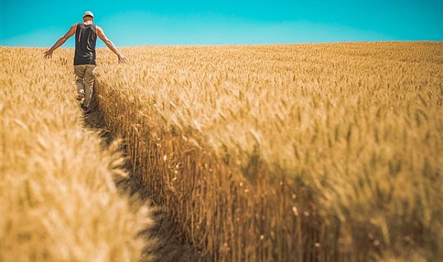 TÜİK: Tarım ÜFE Mayıs 2026’da yüzde 43,08 arttı