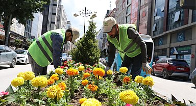 Van'da refüjlere 17 bin mevsimlik çiçek dikildi