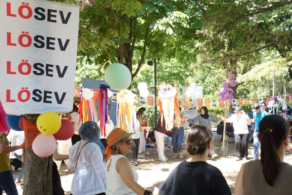 LÖSEV ailesi pikniikte buluştu
