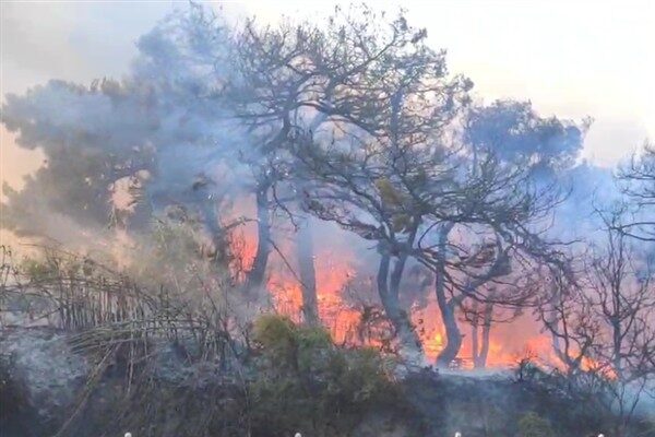 Valilikten yapılan açıklamada Alanya ve Gazipaşa ilçelerinde çıkan orman yangınlarına