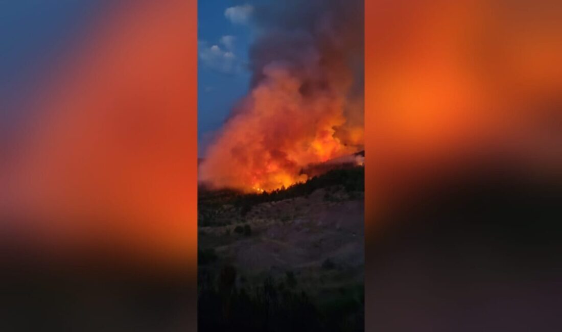 Karabük'te meydana gelen orman yangınları rüzgarın da etkisiyle yayılmaya devam