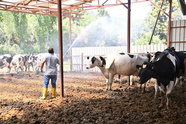 Vatandaşlardan gelen talepler doğrultusunda, Sarıgöl Belediye Başkanı Tahsin Akdeniz’in konuyu