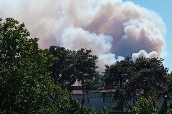 Orman Genel Müdürlüğü'nden (OGM) yapılan açıklamada, Adana'nın Aladağ ilçesindeki yanının