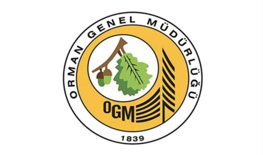 OGM'den yapılan açıklamaya göre, Balıkesir'in Bigadiç ilçesinde orman dışı bir