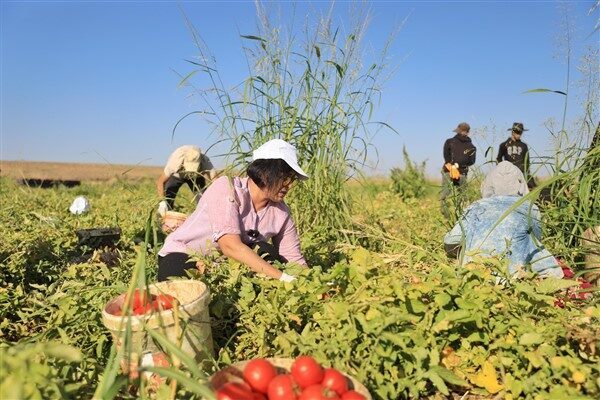 Eşbaşkan Sincar, belediye meclis üyeleri ve başkan yardımcılarıyla birlikte Kaldırım