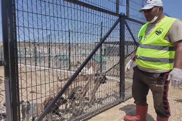 Bayburt Belediyesi’ne ait Sokak Hayvanları Geçici Bakım ve Rehabilitasyon Merkezi’nde