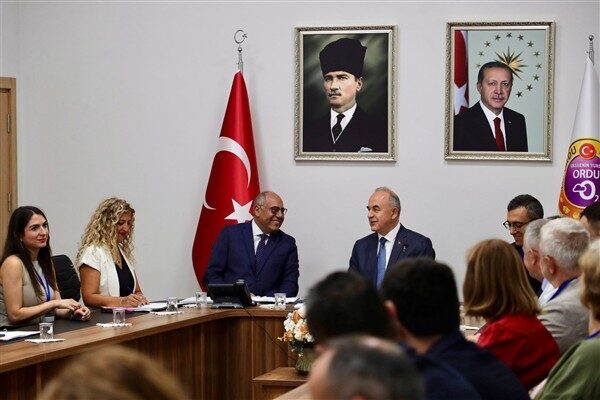 Ordu Valisi Erol, Birleşmiş Milletler Uluslararası Çalışma Örgütü (ILO) Türkiye