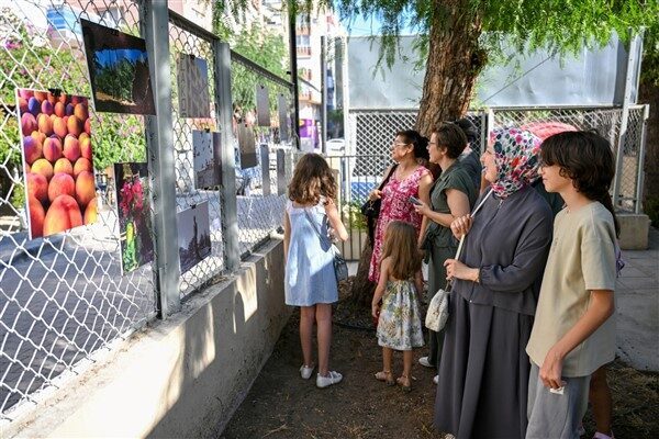 Çocukların objektifinden çıkan fotoğraflar; doğa ve hayvanlardan günlük yaşamın küçük