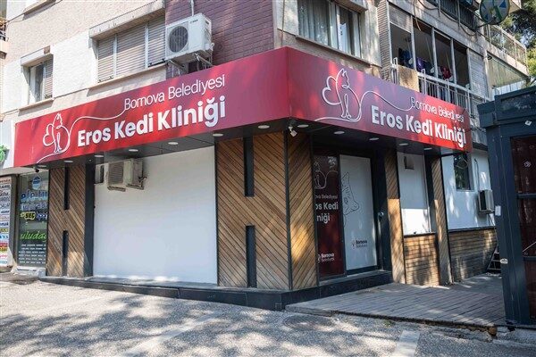 Bornova Belediyesi Veteriner Hizmetleri Müdürlüğü bünyesinde Büyükpark’ta hizmet veren kedi