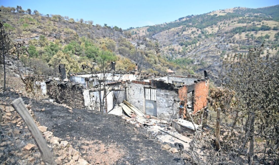 Büyükşehir Belediye Meclisi Deprem ve Doğal Afet Komisyonu, ilk olarak