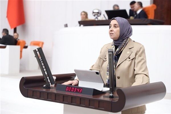 DEVA Partisi Genel Başkan Yardımcısı ve İstanbul Milletvekili Elif Esen, soru