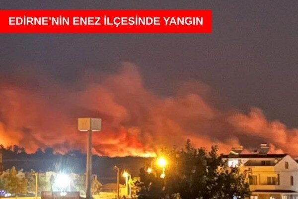 Edirne’nin Enez ilçesine bağlı Büyükevren köyündeki ormanlık alanda çıkan yangını