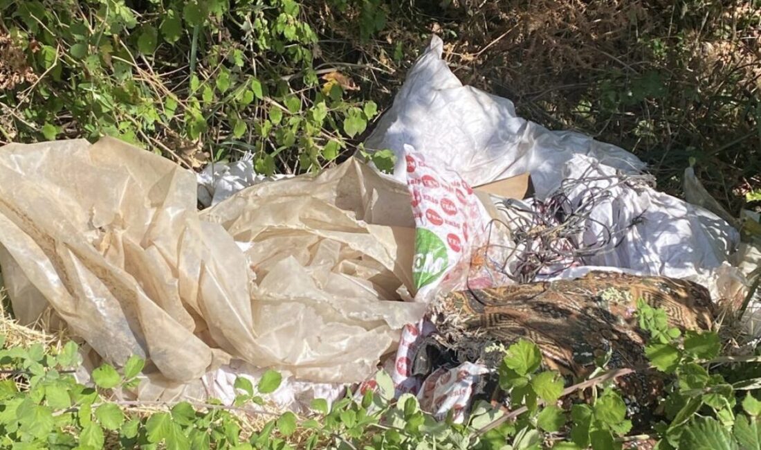 İzmit Belediyesi tarafından , çevre kirliliğini önlemek amacıyla denetimler sürdürülüyor.