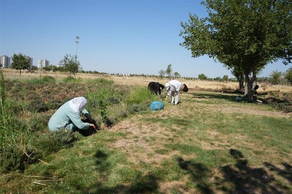 Kayapınar Belediyesi, Park ve Bahçeler Müdürlüğü’ne bağlı Park 75’te yer