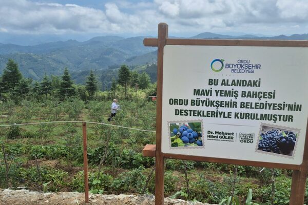 Ordu Büyükşehir Belediyesi tarafından tarımsal üretimde çeşitliliği artırmak amacıyla başlatılan
