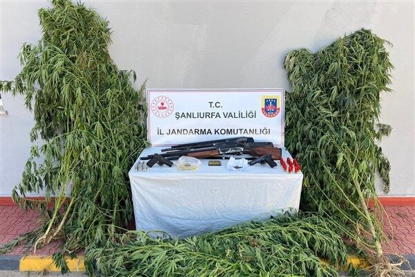 Şanlıurfa İl Jandarma Komutanlığı tarafından, 13-14 Ağustos tarihleri arasında Birecik, Eyyübiye, Halfeti,