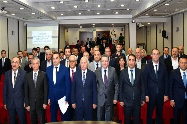 Trabzon'da Vali Aziz Yıldırım başkanlığında, sokak hayvanlarını korumaya yönelik toplantı