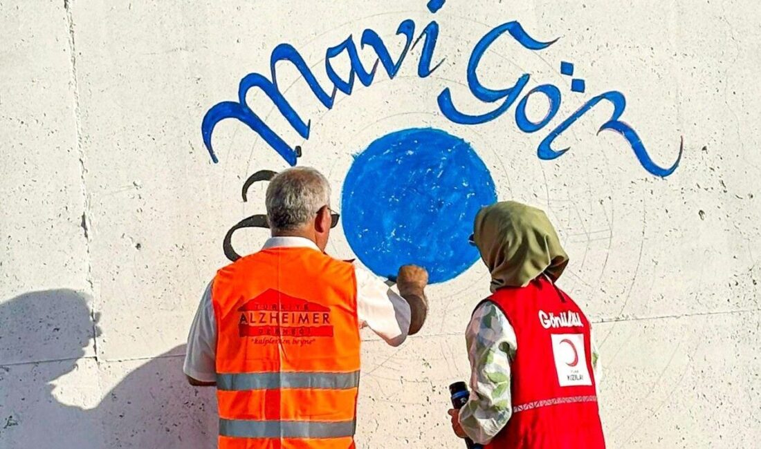 Van Büyükşehir Belediyesi, Gevaş Kaymakamlığı, Van Gölü Aktivistleri Derneği, Alzheimer