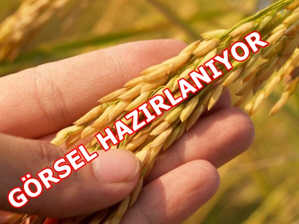 Bu haberin fotoğrafı yok