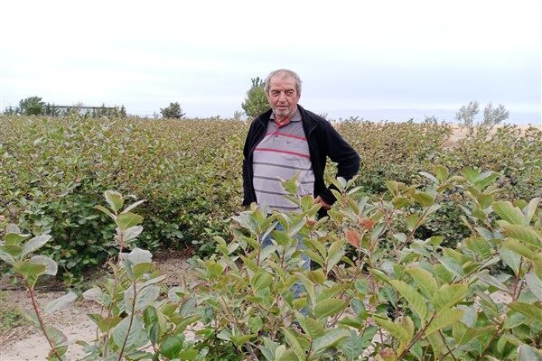 İlçe Tarım Müdürlüğü’nden emekli olan Turan, 3,5 dönümlük alana 500