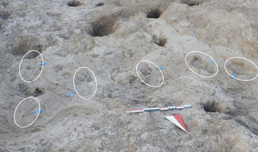 Kültür ve Turizm Bakanı Mehmet Nuri Ersoy, Hatay’ın Reyhanlı ilçesindeki