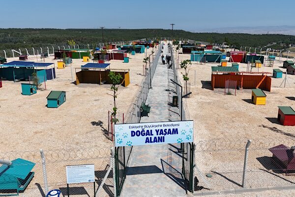 Eskişehir Büyükşehir Belediyesi tarafından, Sarısungur Mahallesi’nde hizmete giren Hayvan Bakımevi