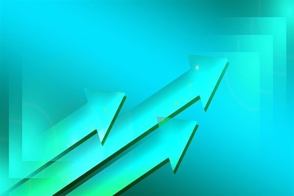 Kamuyu Aydınlatma Platformuna (KAP) yapılan açıklamada, ''Silverline Endüstri ve Ticaret