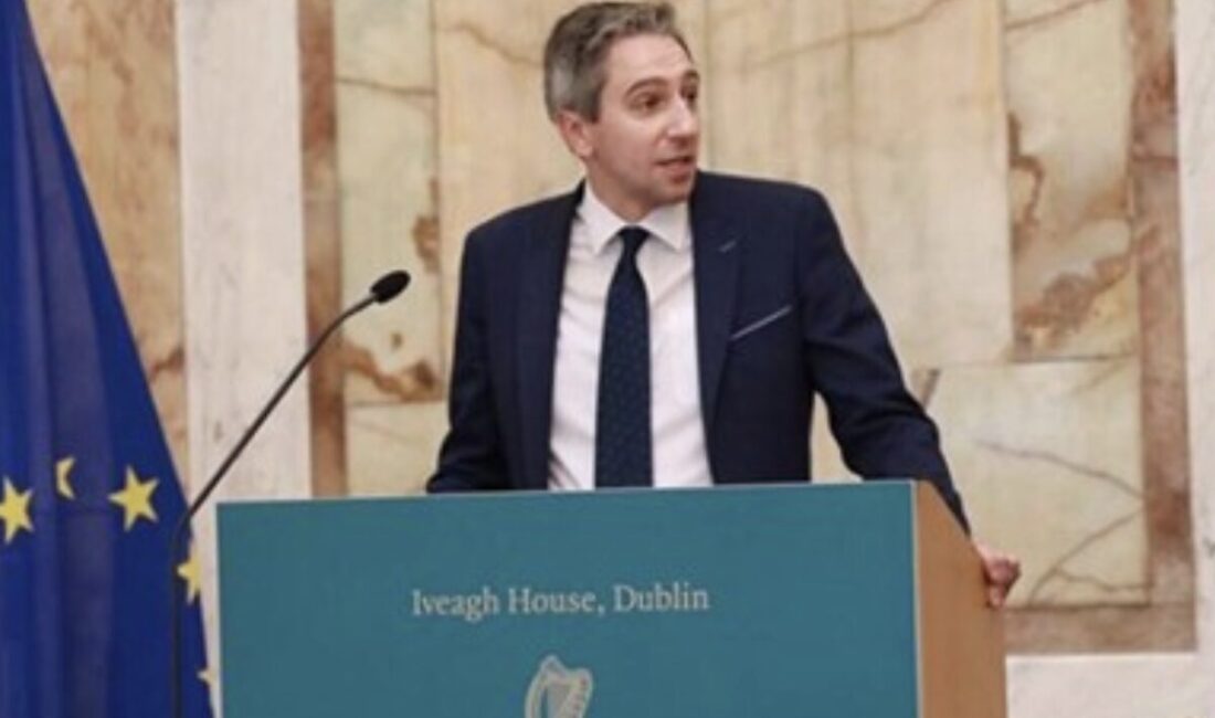 İrlanda Dışişleri Bakanı  Harris, Gazze’deki insani felakete ilişkin bir açıklama