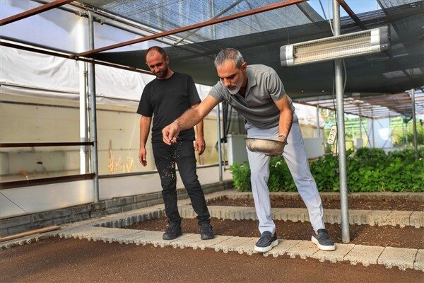 Park ve Bahçeler Müdürlüğü belediyeye ait Sera ve Fidanlık Sahası’nda