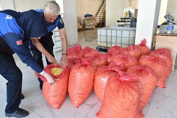 Kepez Belediyesi Zabıta Müdürlüğü ekipleri, Tarım ve Orman Müdürlüğü ile