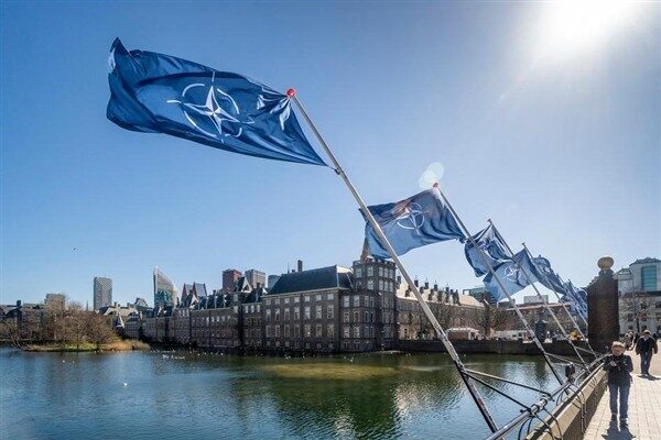 NATO Genel Sekreteri Rutte, Kuzey Atlantik Konseyi'nin Rusya'nın cuma günü