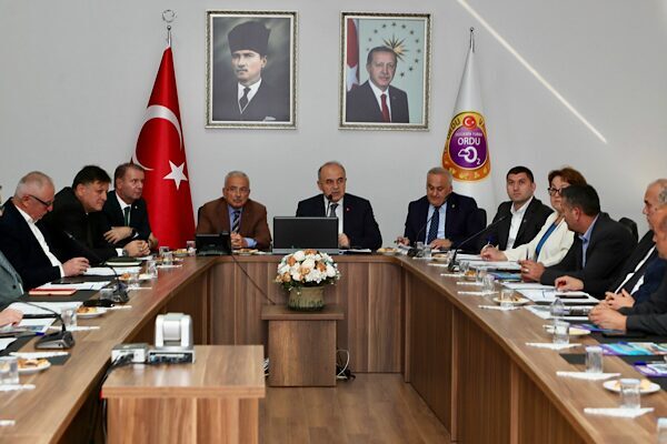 Ordu Valiliği, Ordu Büyükşehir Belediyesi, Ordu Üniversitesi, İl Kültür ve