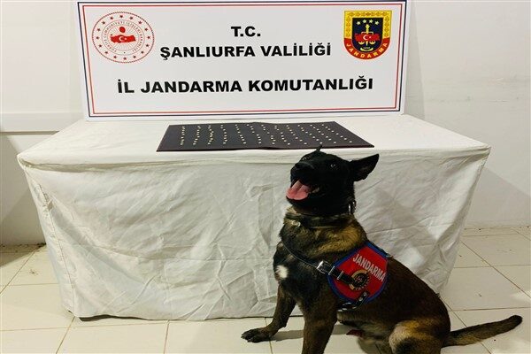 Narkotik Şube Müdürlüğü ile ilçe jandarma ekiplerinin ortak çalışmaları sonucu;